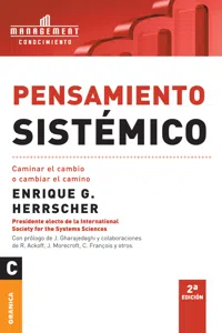 Pensamiento sistémico_cover