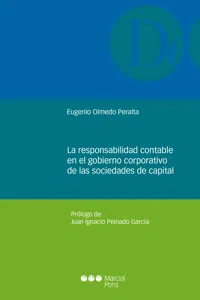 La responsabilidad contable en el gobierno corporativo de las sociedades de capital_cover