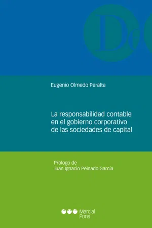 La responsabilidad contable en el gobierno corporativo de las sociedades de capital