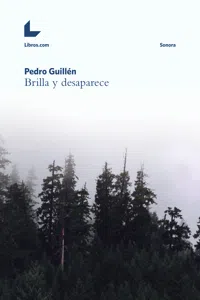 Brilla y desaparece_cover