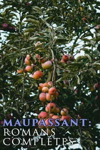 Maupassant: Romans complètes_cover