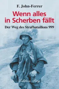 Wenn alles in Scherben fällt_cover