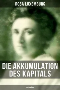 Die Akkumulation des Kapitals