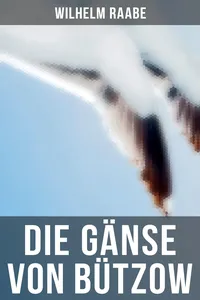 Die Gänse von Bützow_cover