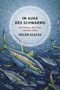 Im Auge des Schwarms_cover