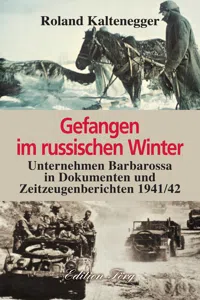 Gefangen im russischen Winter_cover