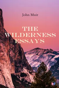 The Wilderness Essays_cover