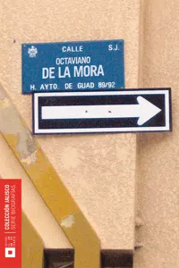 Octaviano de la Mora_cover