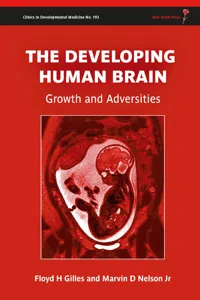 The Developing Human Brain_cover