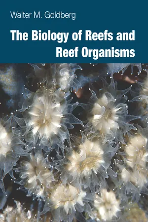 The Biology of Reefs and Reef Organisms