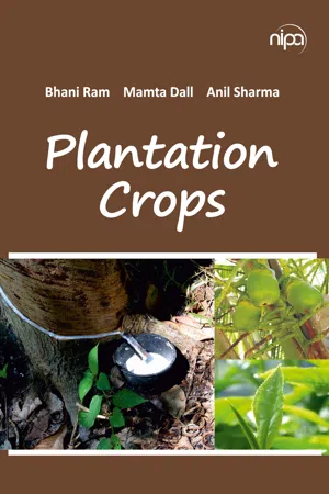 Plantation Crops