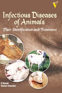 Infectious Diseases Of Animals Their Identification And Treatment_cover