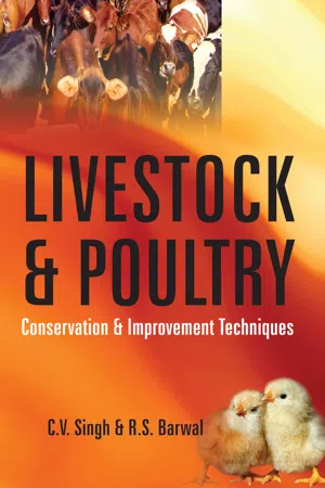 Livestock And Poultry