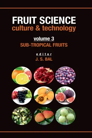 Subtropical Fruits: Vol.03