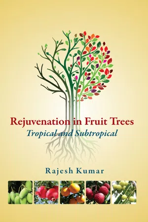 Rejuvenation In Fruit Trees