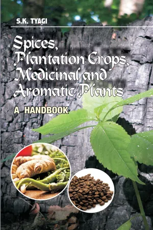 Spices, Plantation Crops, Medicinal And Aromatic Plants