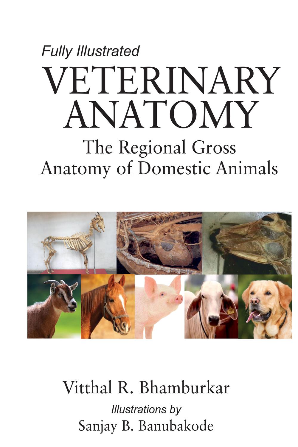 PDF] Veterinary Anatomy by Vitthal R. Bhamburkar | 9789386546487