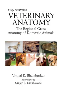 Veterinary Anatomy_cover
