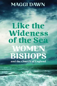 LIKE THE WIDENESS OF THE SEA_cover