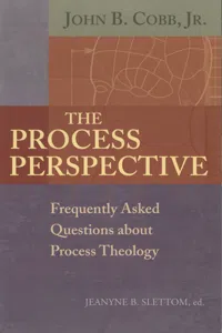 The Process Perspective_cover