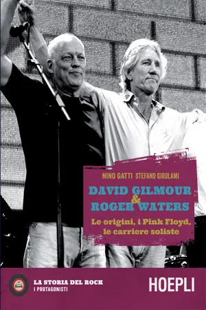 David Gilmour & Roger Waters