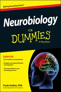 Neurobiology For Dummies_cover