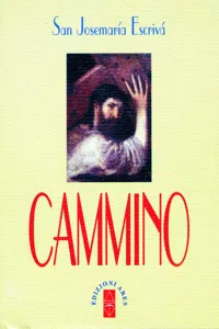 Cammino_cover