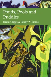 Ponds, Pools and Puddles_cover