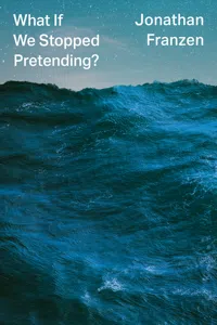 What If We Stopped Pretending?_cover