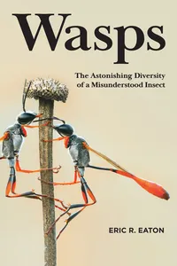 Wasps_cover