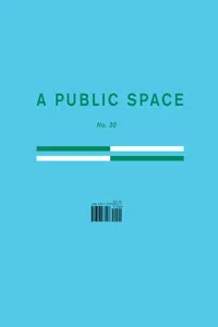 A Public Space No. 30_cover