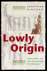 Lowly Origin_cover