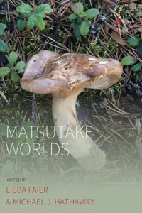 Matsutake Worlds_cover