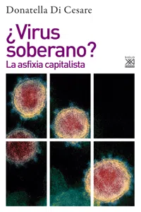 ¿Virus soberano?_cover