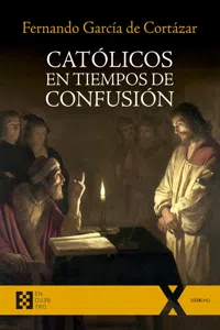 Católicos en tiempos de confusión_cover