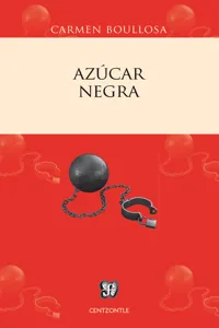 Azúcar negra_cover