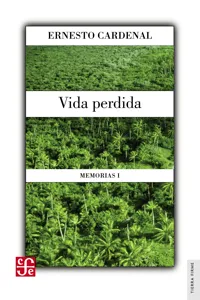 Vida perdida_cover