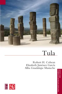 Tula_cover