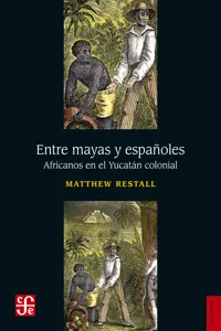 Entre mayas y españoles_cover