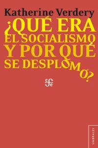 ¿Qué era el socialismo y por qué se desplomó?_cover