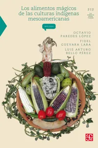 Los alimentos mágicos de las culturas indígenas mesoamericanas_cover