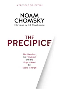 The Precipice_cover