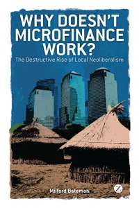 Why Doesn't Microfinance Work?_cover