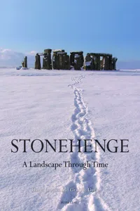 Stonehenge: A Landscape Through Time_cover