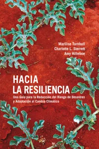 Hacia la Resiliencia_cover