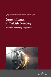 Current Issues in Turkish Economics_cover