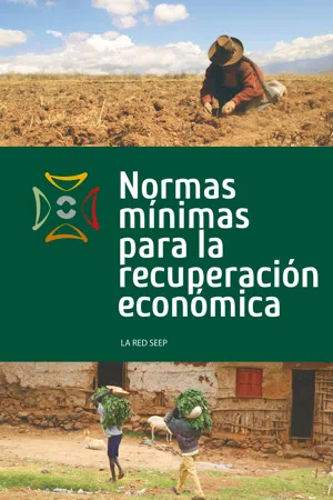 Normas mínimas para la recuperación económica