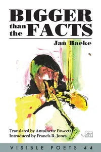 Bigger than the Facts_cover