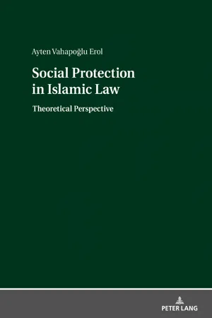 Social Protection in Islamic Law