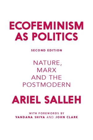 Ecofeminism as Politics